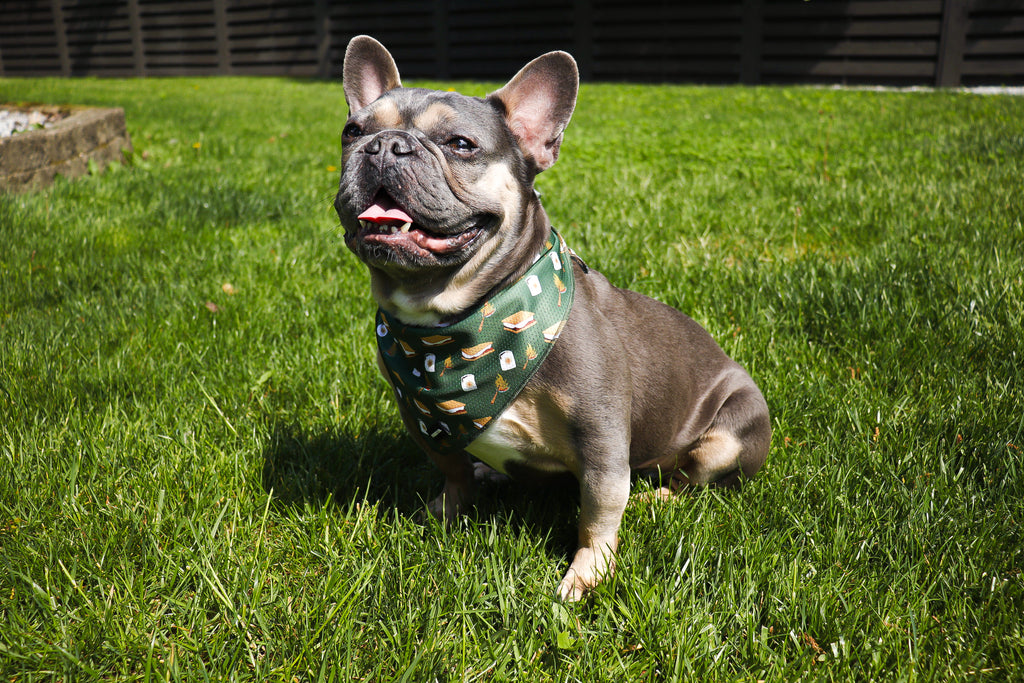 S'mores Bandana