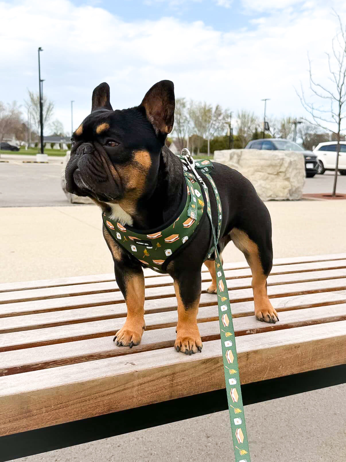 S'mores Adjustable Dog Harness