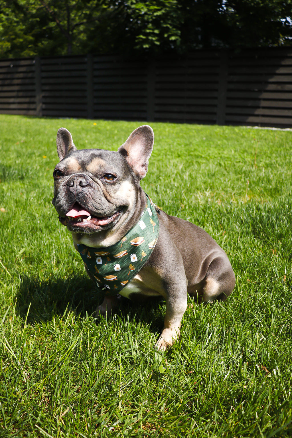 S'mores Bandana