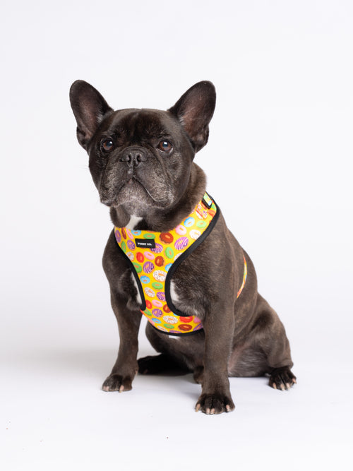Donut Adjustable Dog Harness