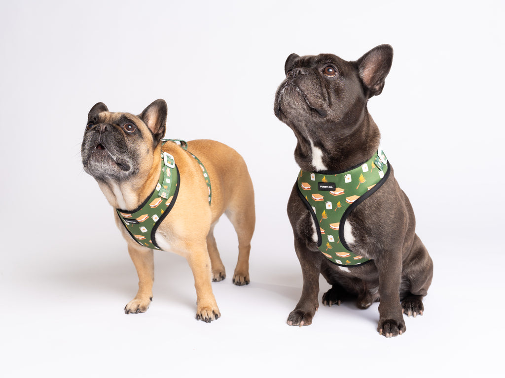 S'mores Adjustable Dog Harness