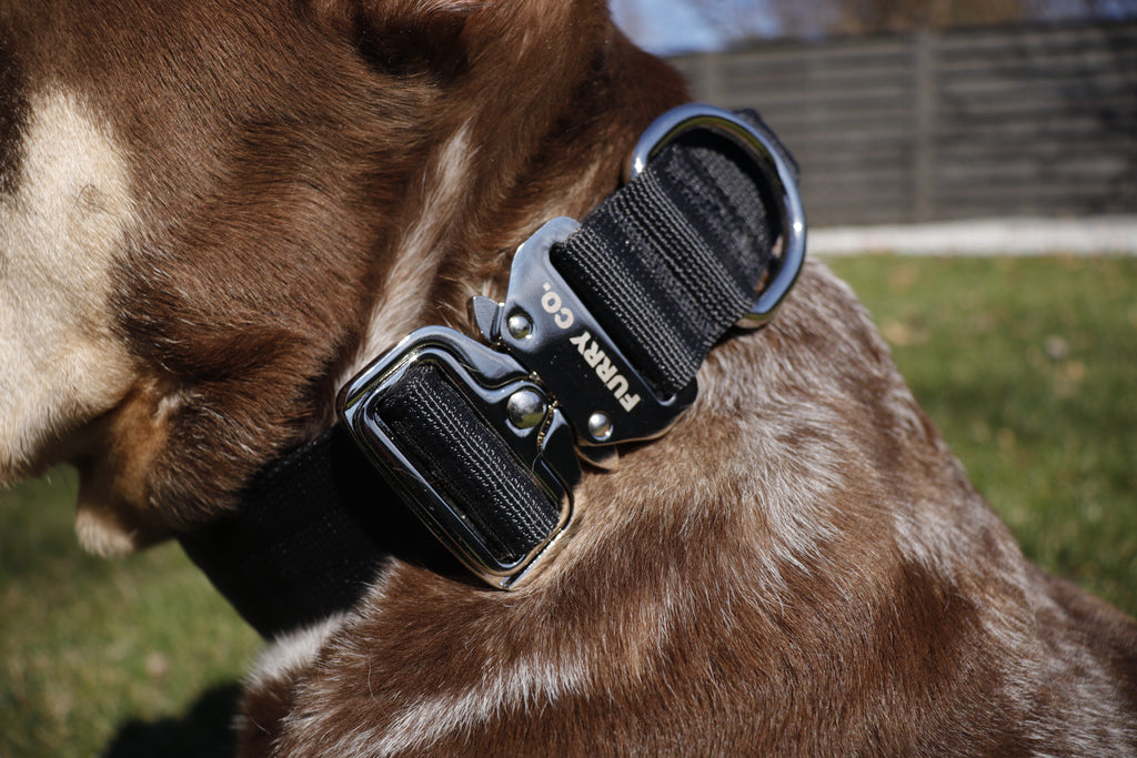 Tactical Collar