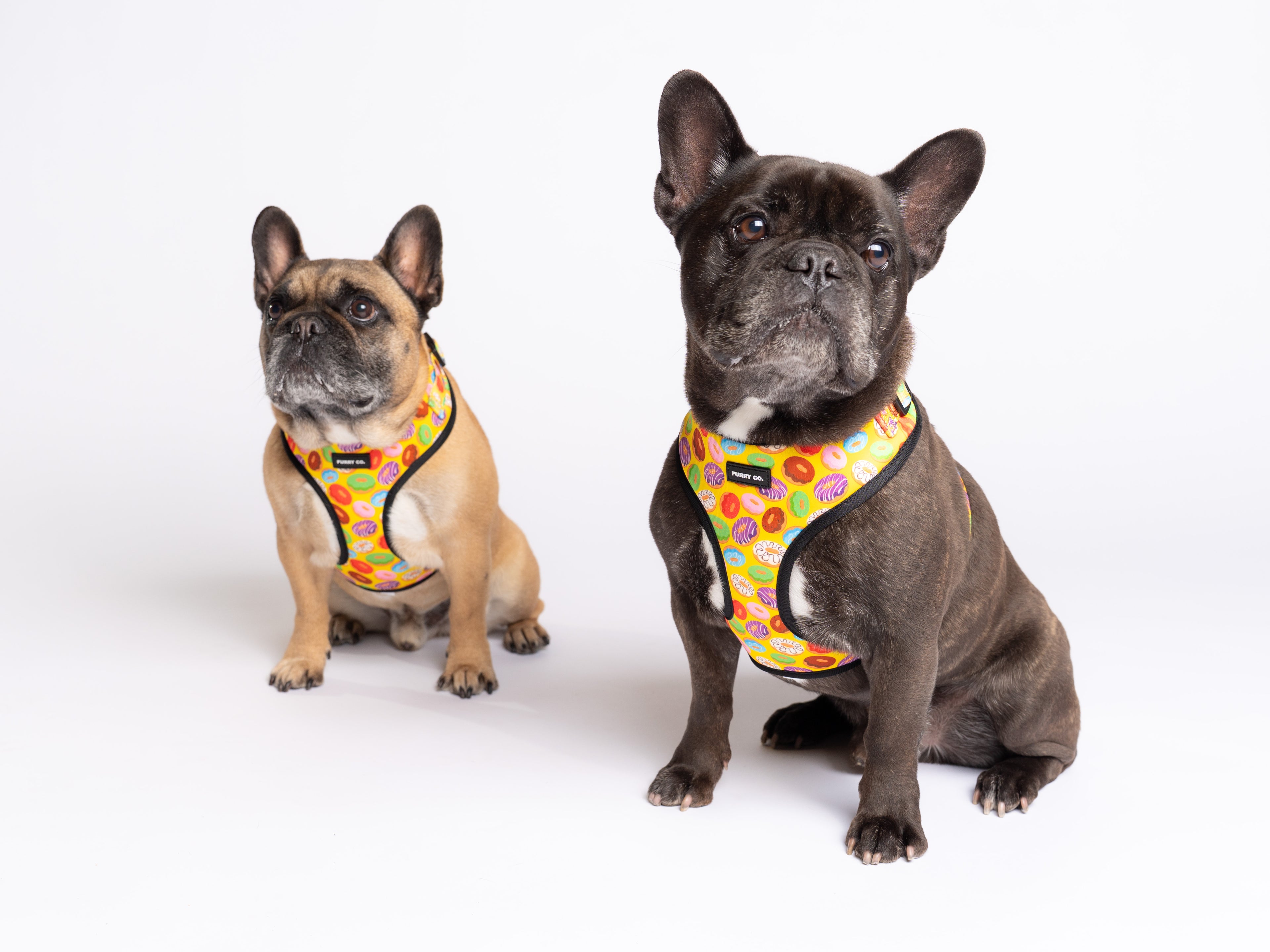 Donut Adjustable Dog Harness