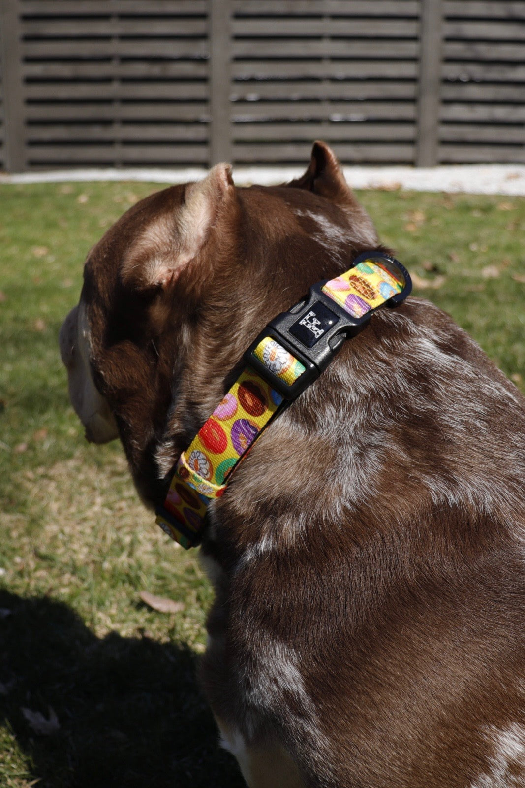 Donut Dog Collar