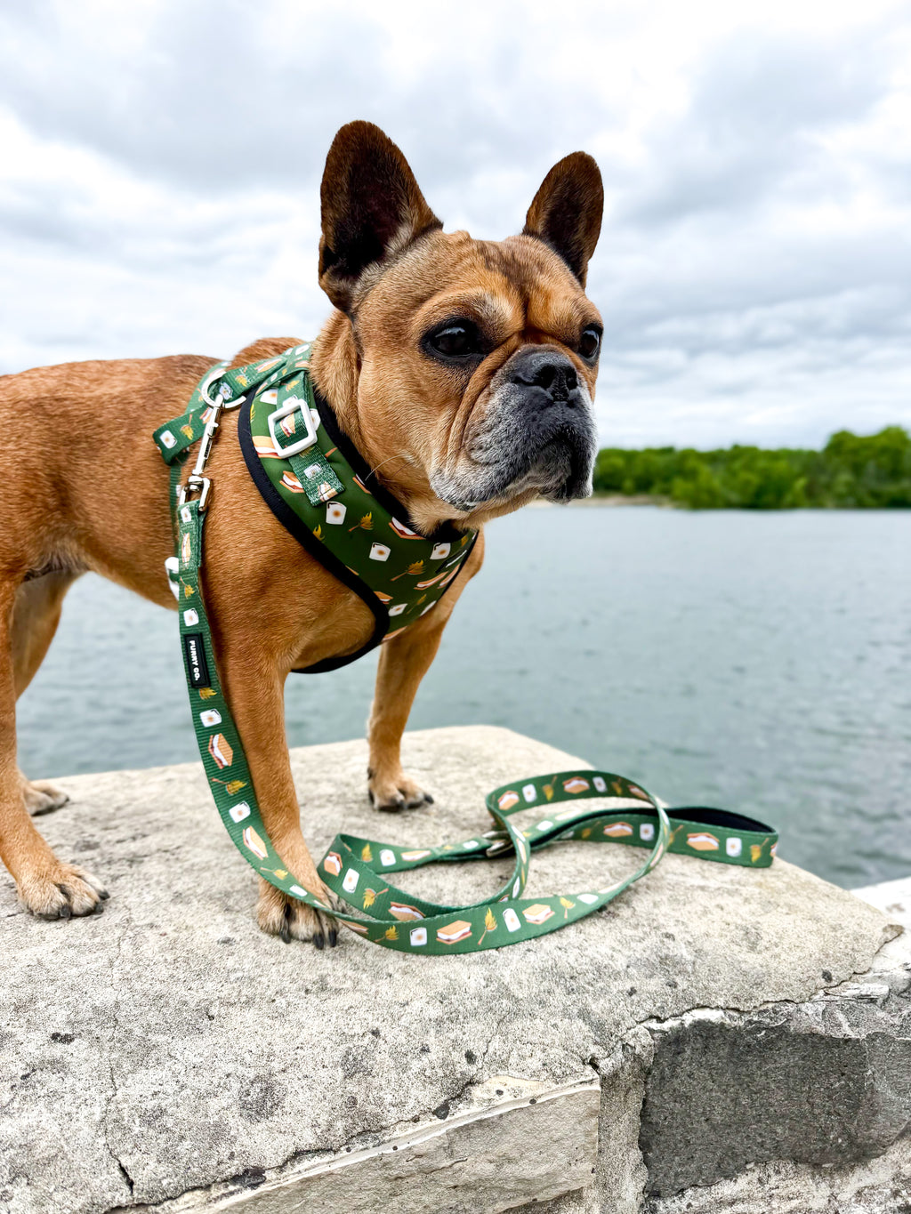 S'mores Adjustable Dog Harness