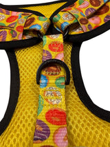 Donut Adjustable Dog Harness