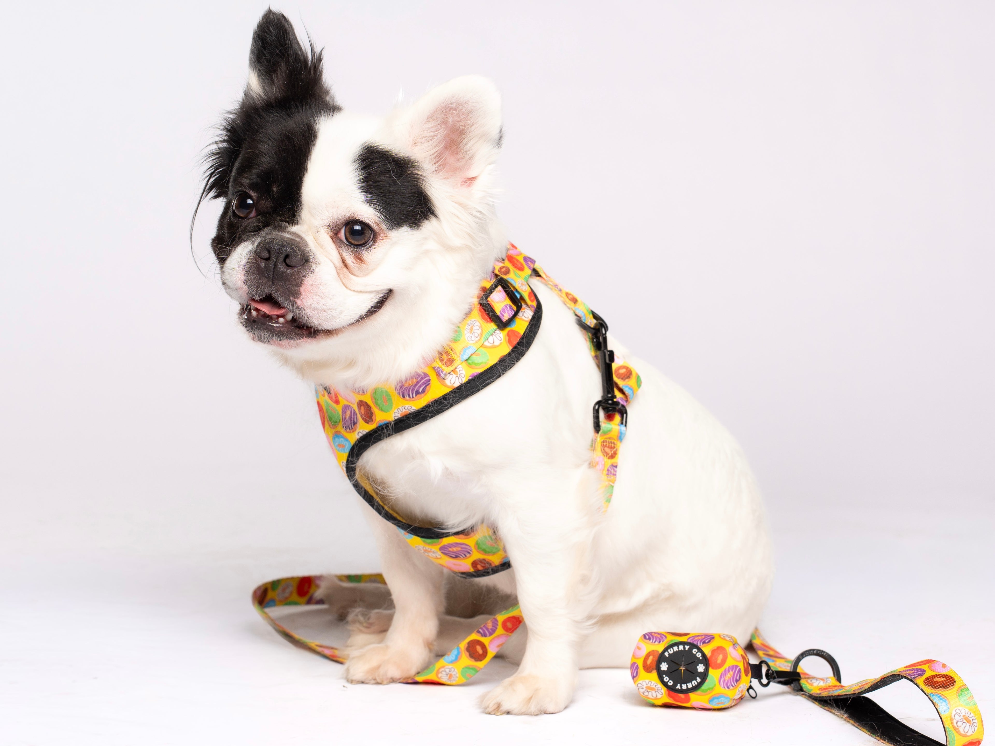 Donut Adjustable Dog Harness