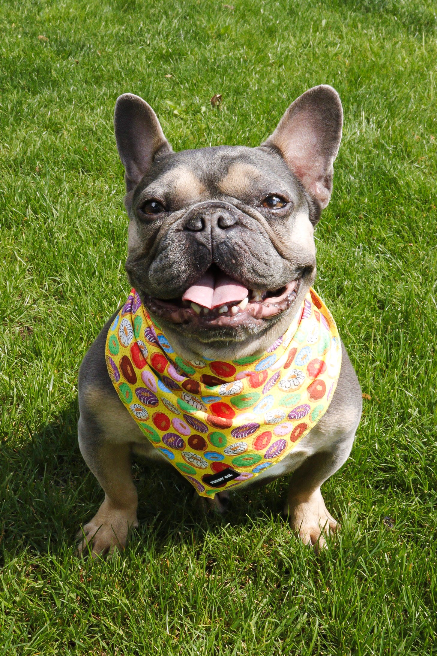 Donut Bandana