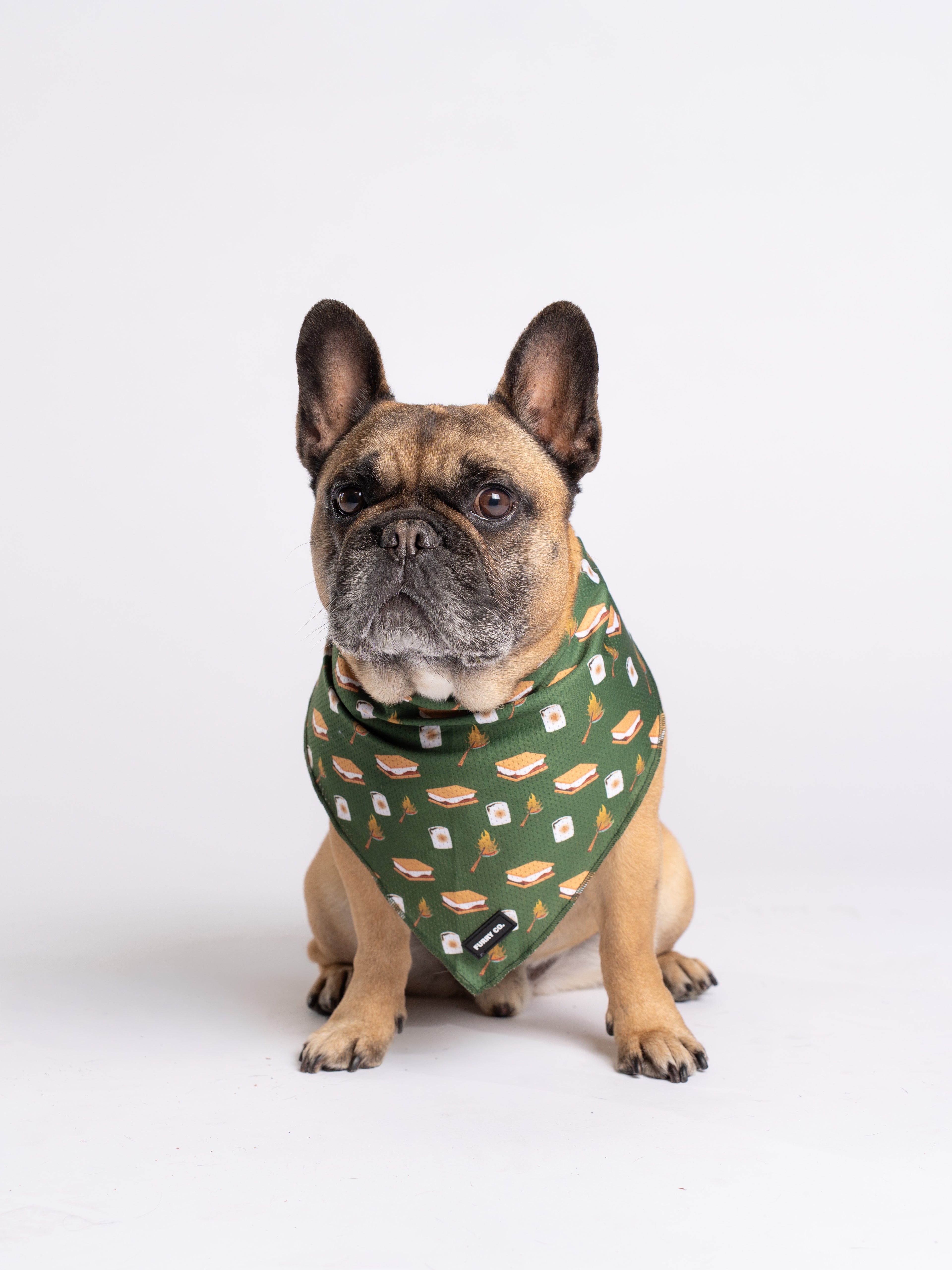 S'mores Bandana