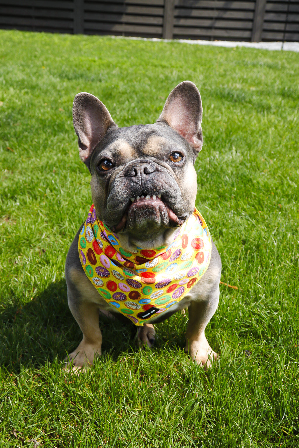 Donut Bandana