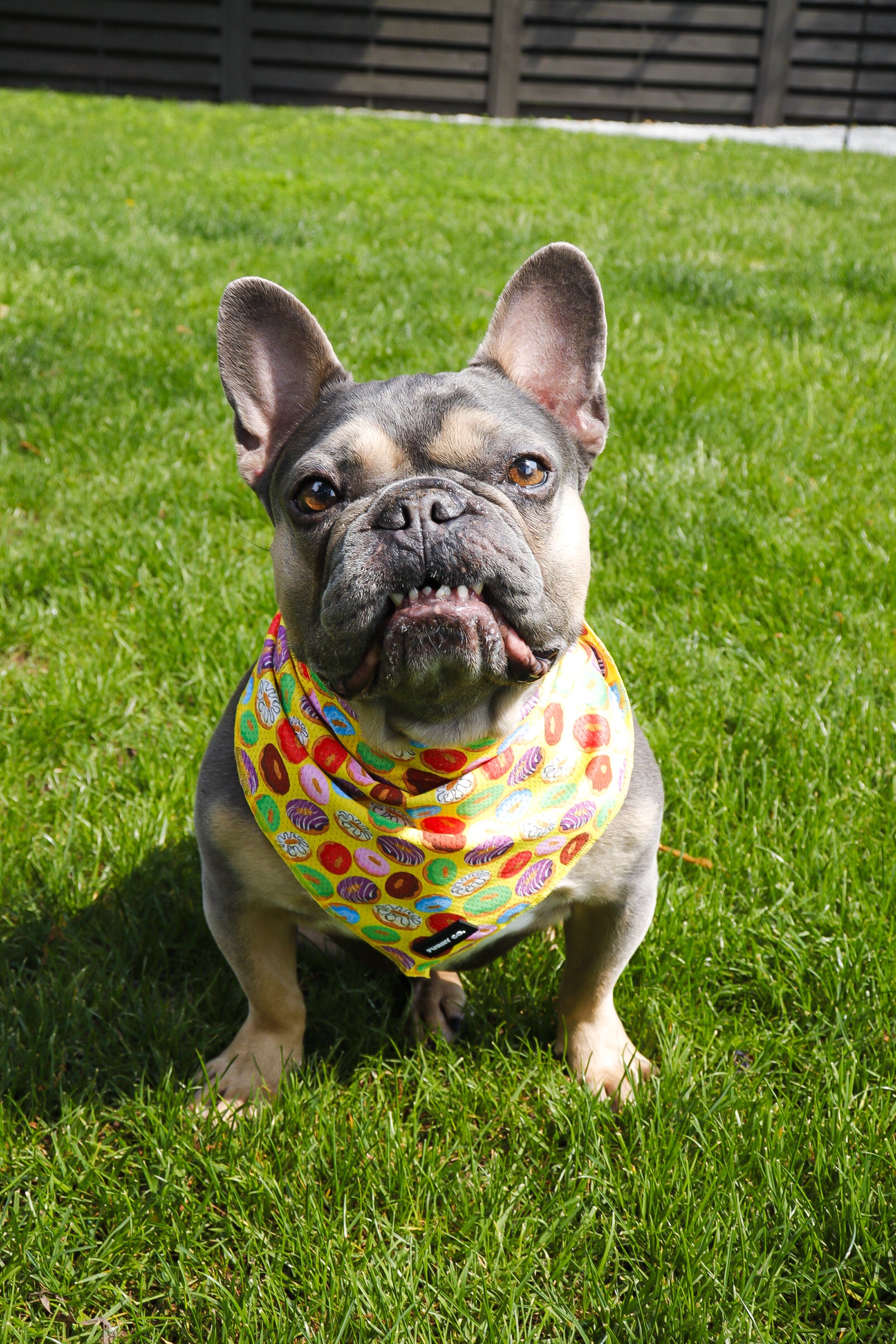 Donut Bandana