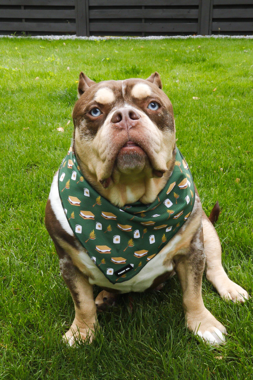 S'mores Bandana