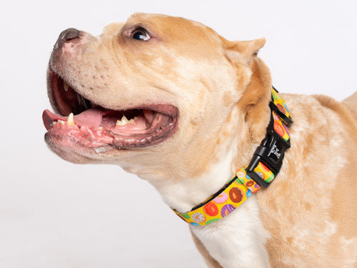 Donut Dog Collar