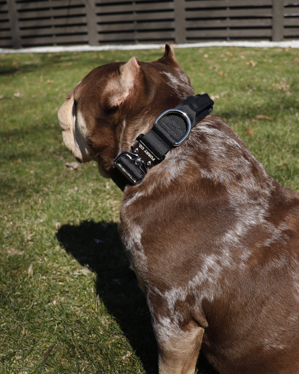 Tactical Collar