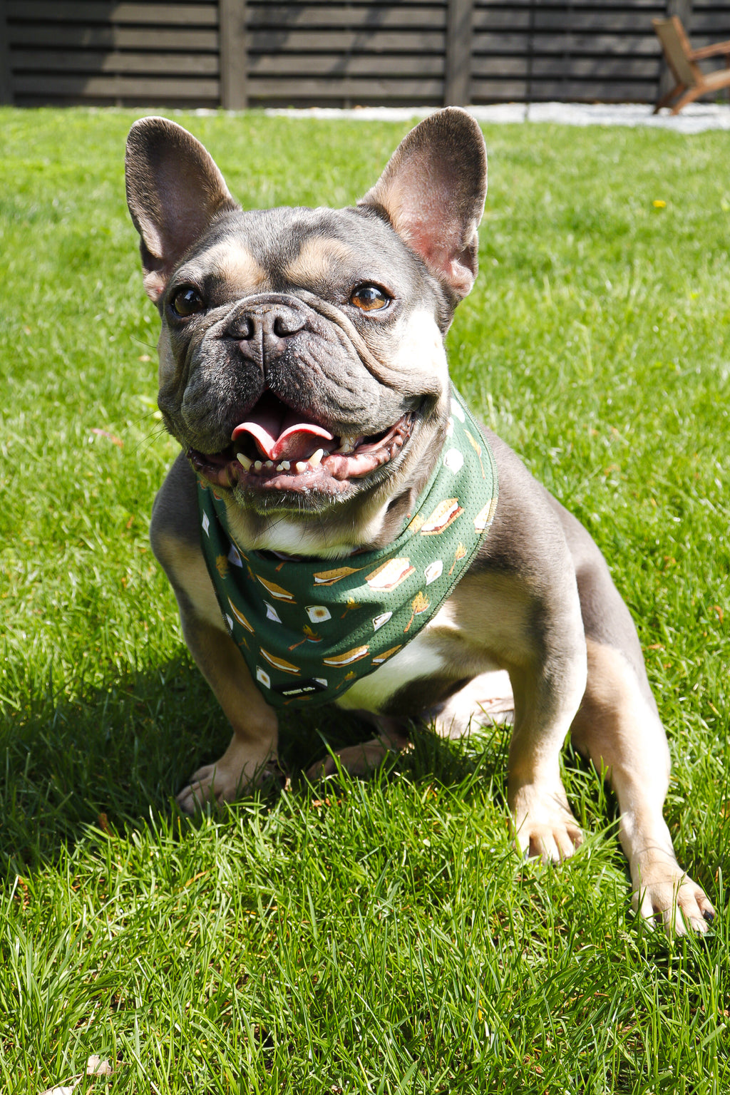 S'mores Bandana