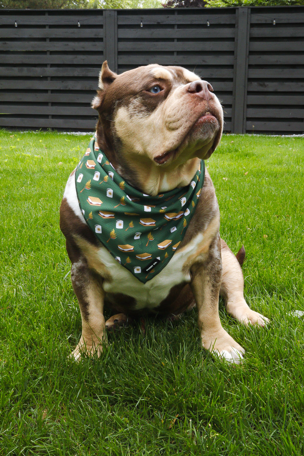 S'mores Bandana